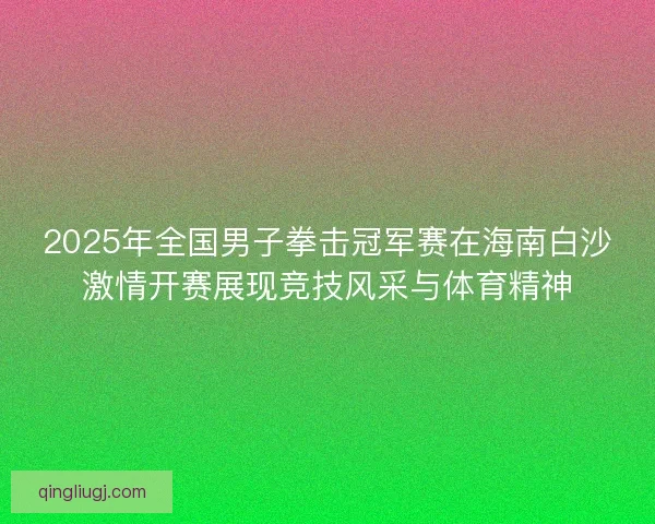 2025年全国男子拳击冠军赛在海南白沙激情开赛展现竞技风采与体育精神