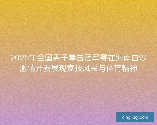 2025年全国男子拳击冠军赛在海南白沙激情开赛展现竞技风采与体育精神