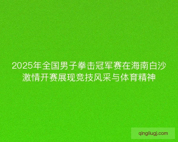 2025年全国男子拳击冠军赛在海南白沙激情开赛展现竞技风采与体育精神