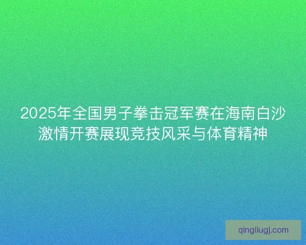2025年全国男子拳击冠军赛在海南白沙激情开赛展现竞技风采与体育精神
