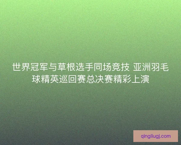 世界冠军与草根选手同场竞技 亚洲羽毛球精英巡回赛总决赛精彩上演